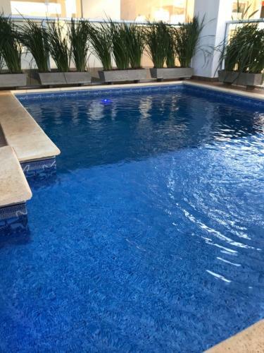 Apartamento C&k Flatbotanics Ol�mpia I