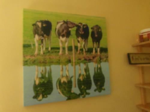 Apartamento Country Studio