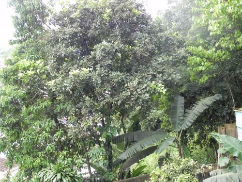 Apartamento Aconchego E Requinte No Centro