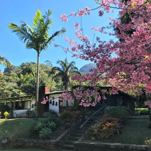 Hostal Pinheiros Do Rocio