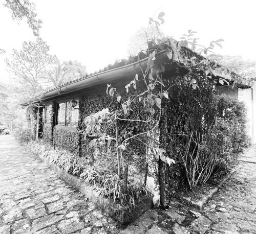 Hostal Pinheiros Do Rocio
