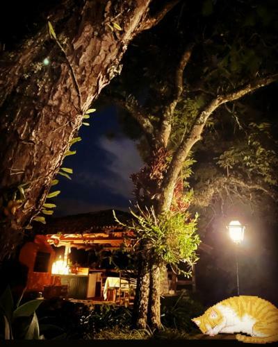 Hostal Pinheiros Do Rocio