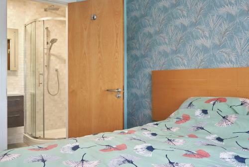 Luxury Apartment Near O'connell Street