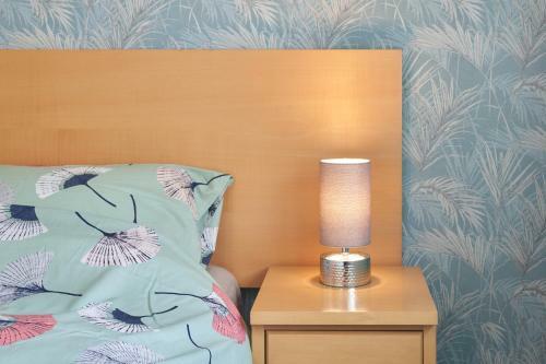 Luxury Apartment Near O'connell Street