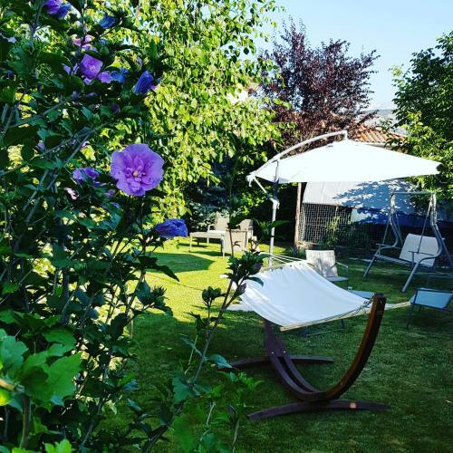 Bed & Breakfast Chambre Et Gite La Dorgisane