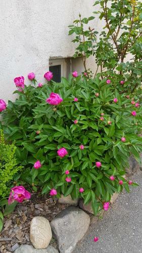 Bed & Breakfast Chambre Et Gite La Dorgisane
