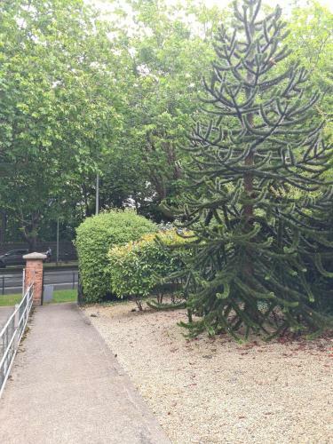 Apartamento Drumcondra Road Lower