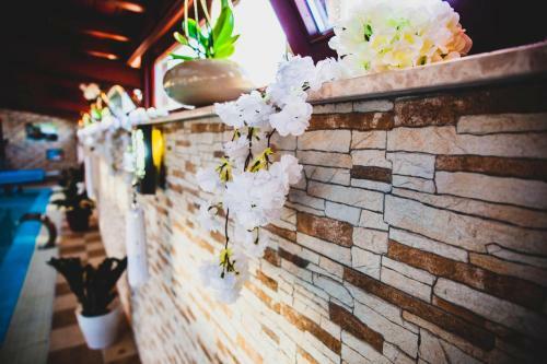 Hostal Barackos Wellness Villa F�t