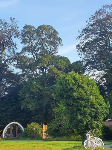 Priory Glamping Pods And Guest Accommodation