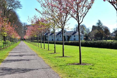 Hostal The Birches Killarney