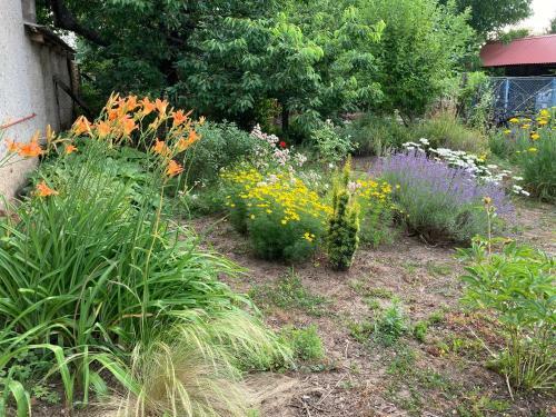 Apartamento Dombos Vend�gh�z