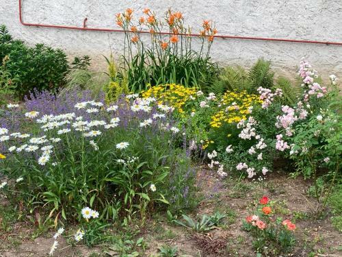 Apartamento Dombos Vend�gh�z