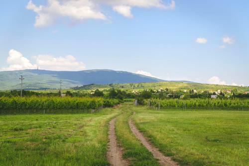 Bed & Breakfast Dominium Pinc�szet �s Panzi�