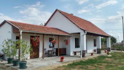 Hostal Oncsa Vend�gh�z