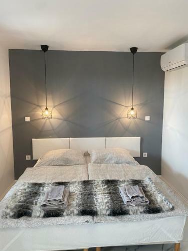 Apartamento Chateau Segesdi Borapartman
