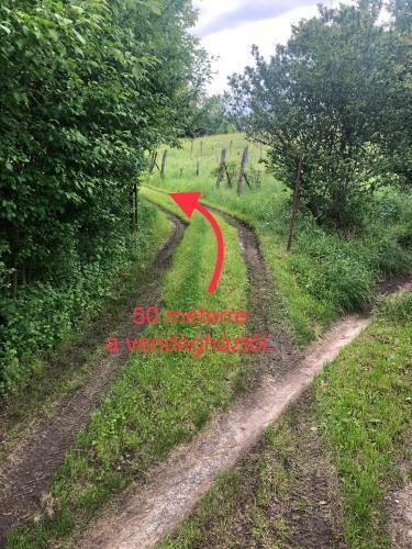 Csob�nc Szerelem A