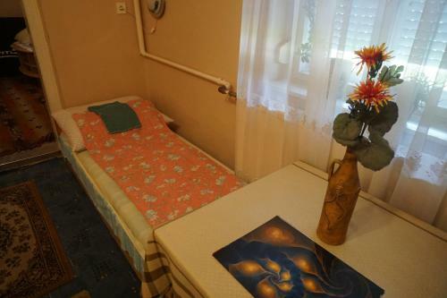 Hostal Piri Vend�gh�z