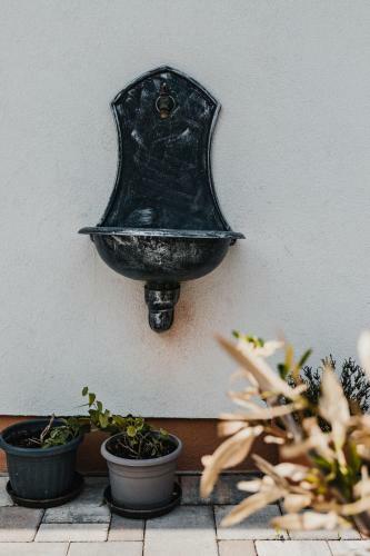 Bed & Breakfast Dreko Panzi� & Borbisztr�