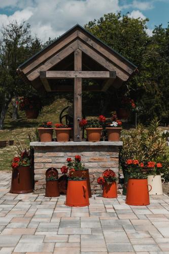 Bed & Breakfast Dreko Panzi� & Borbisztr�