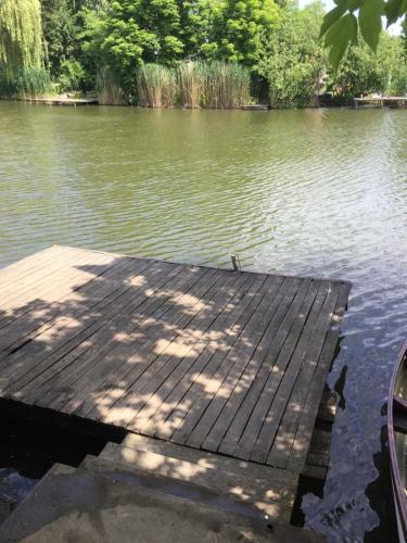 Bogl�rka Horg�sznyaral�