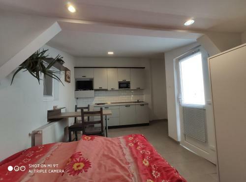 Apartamento Zenit Vend�gh�z