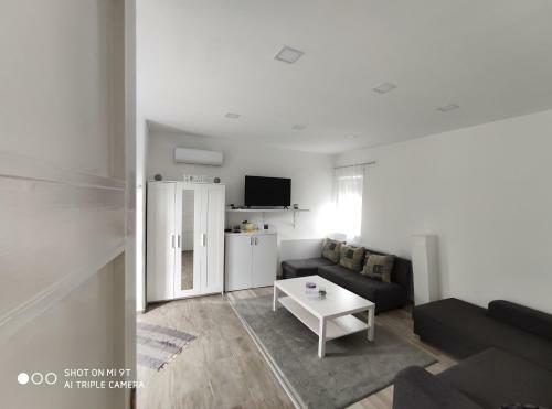 Apartamento Zenit Vend�gh�z