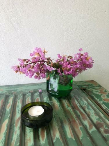 Apartamento Pousada Villa Das Flores