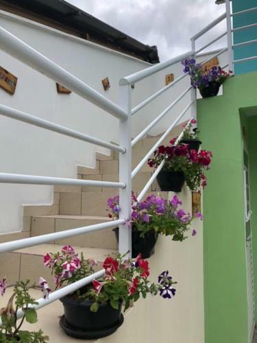 Apartamento Pousada Villa Das Flores