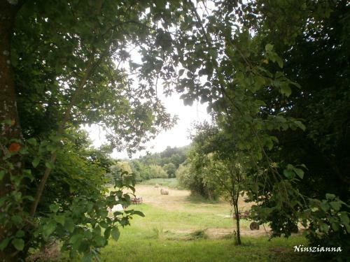 Ninszianna Apartman