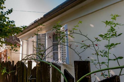 Hostal Helesfa Vend�gh�z