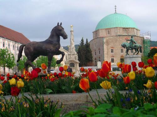 Hostal Helesfa Vend�gh�z