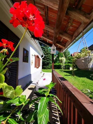Agroturismo ?rs�g Kincse