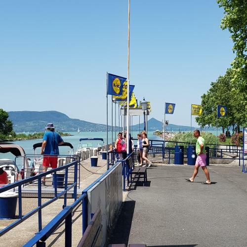 Fony�d Lid� Dalma Apartman Ii.