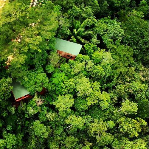 La Luciole Ecolodge