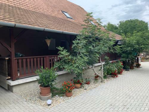 B�stya Apartman