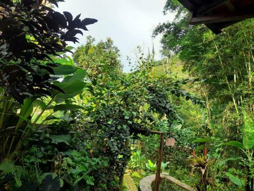 Pouso Florescer Gra�na