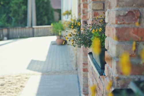 Hostal Vincze Vad�sz Vend�gh�z