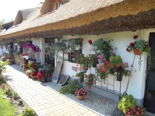 Apartamento N�dash�z