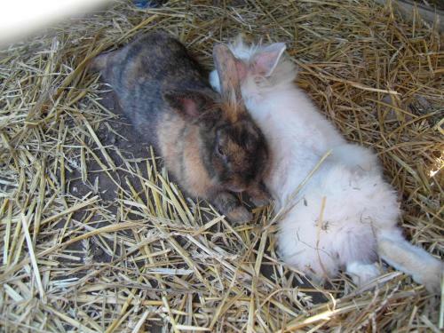 Apartamento N�dash�z