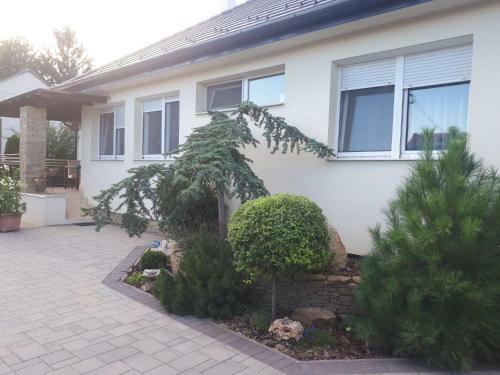 Kendosz Apartman