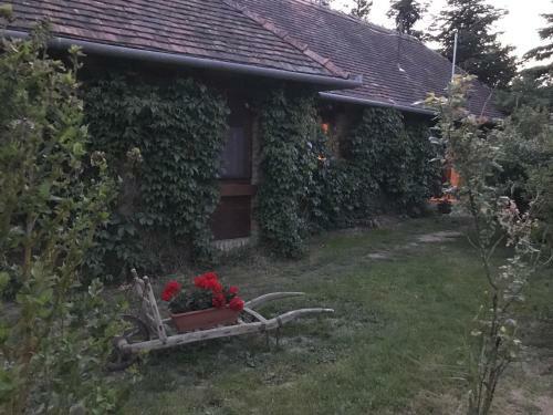 Hostal Vadsz?l?s Porta