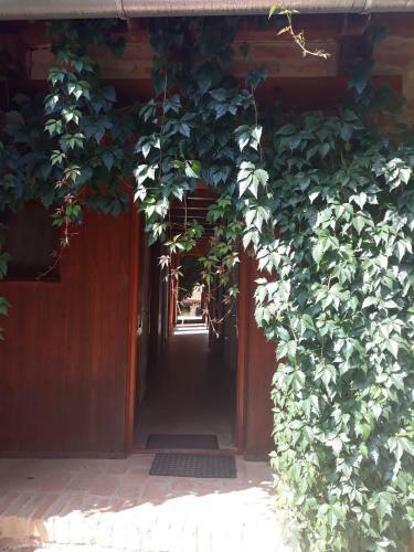 Hostal Vadsz?l?s Porta