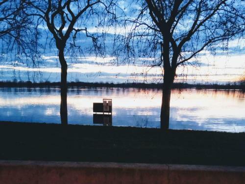 Hotel Mercure M�con Bord De Saone
