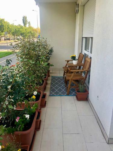Harm�nia Apartman