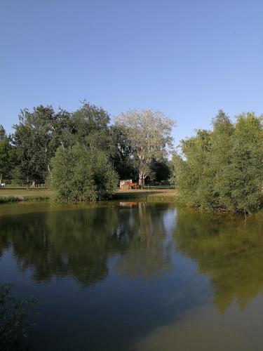 Bed & Breakfast Vikt�ria Lovas Panzi�