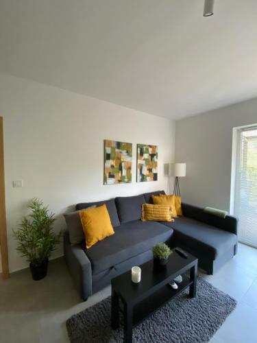 Maxim Apartments