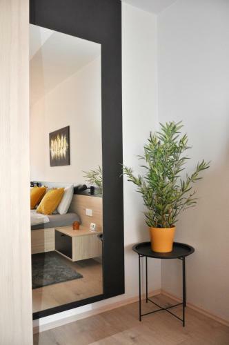 Maxim Apartments