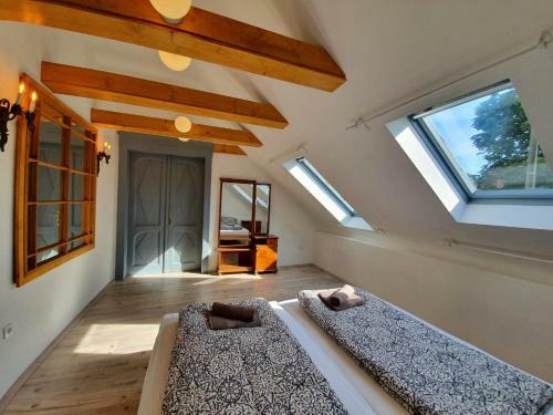 Apartamento K�li Cool