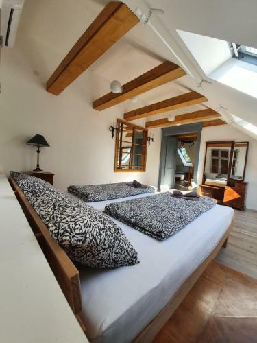 Apartamento K�li Cool