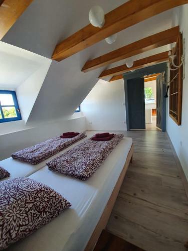 Apartamento K�li Cool